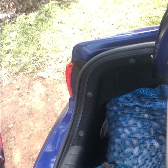 Pecans - Picture 3 of 6